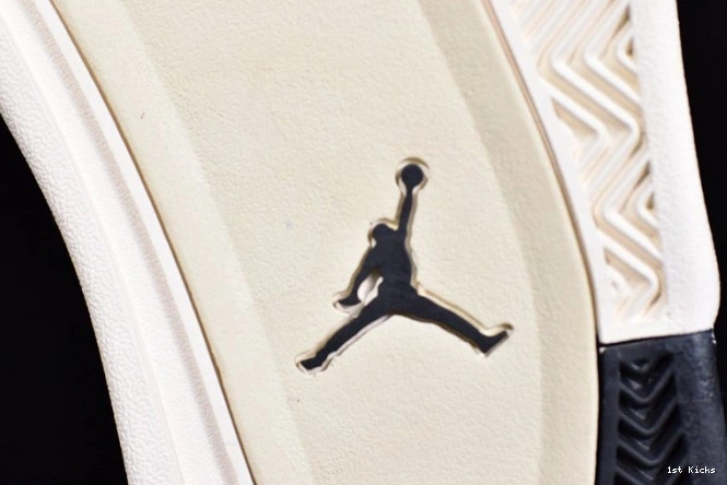 Mushroom Air Jordan 4 AQ9129-200 0719